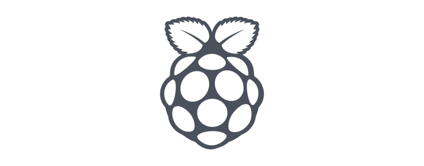 Raspberry PI